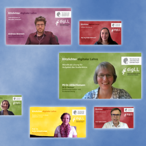 Collage mit Screenshots aus Videoreihe "Blitzlichter Digitaler Lehre"