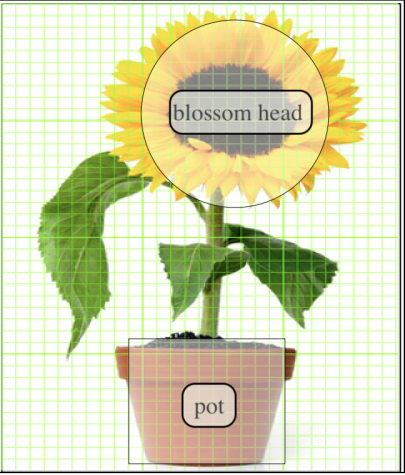 Foto: An illustration of a sunflower with labels "blossom head" in the blossom area and "pot" in the pot area. The entire image is overlaid with a green grid.