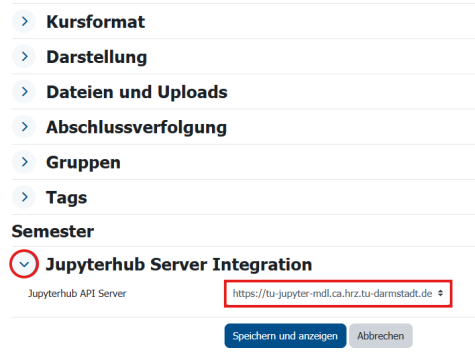 Der Jupyter-Abschnitt in den Kurseinstellungen, mit ausgewähltem Jupyter-Server